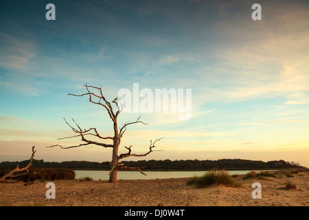 Sonnenaufgang am Benacre auf der Küste von Suffolk Stockfoto