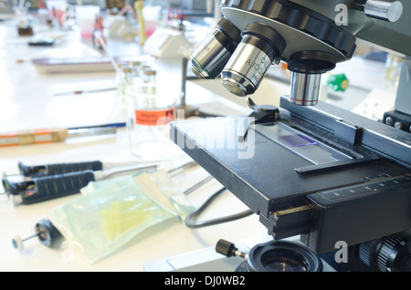 Methyl violett gefärbten Zellen Gram-Färbung Untersuchung Mikrobiologie Bakterienzellen unter Mikroskop im Labor Stockfoto