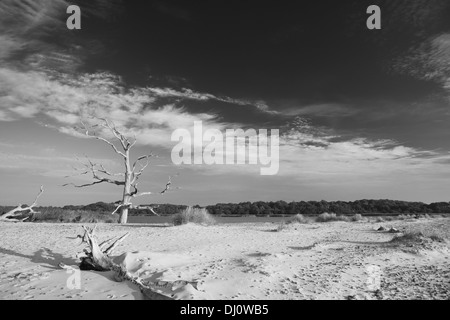 Benacre Strand Stockfoto