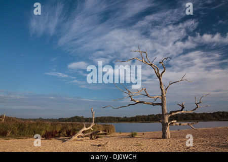 Benacre Strand, Suffolk, UK Stockfoto