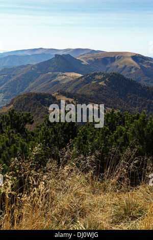 Nationalpark Velka Fatra vom Gipfel des Rakytov, Blick Richtung Ploska, Slowakei. Stockfoto