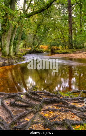 Ober Wasser New Forest Hampshire Stockfoto