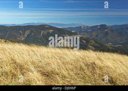 Ausblick vom Gipfel des Rakytov (Velka Fatra) zur hohen Tatra, Slowakei. Stockfoto