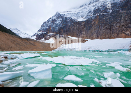 Ghost-Gletscher Eisberge Cavell See auf Mount Cavell Jasper Nationalpark Alberta Kanada Nordamerika Stockfoto