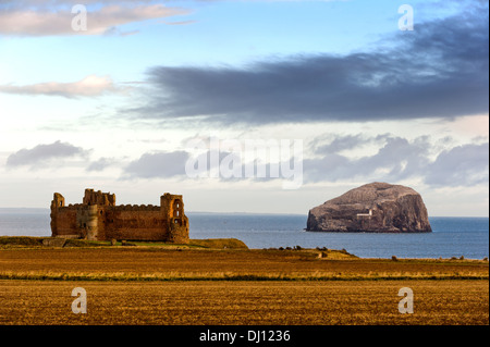 Tantallon Castle & Bass Rock, Schottland, UK Stockfoto