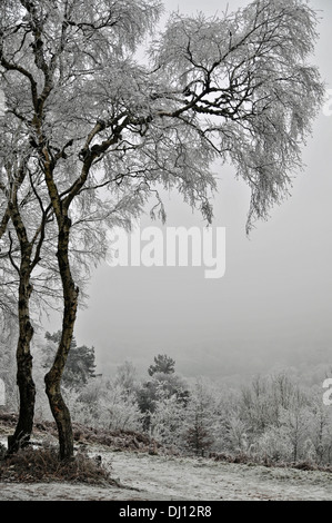 Eine Schneelandschaft in England Stockfoto