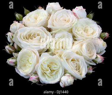 Strauß Rosen auf schwarzem Hintergrund isoliert Stockfoto