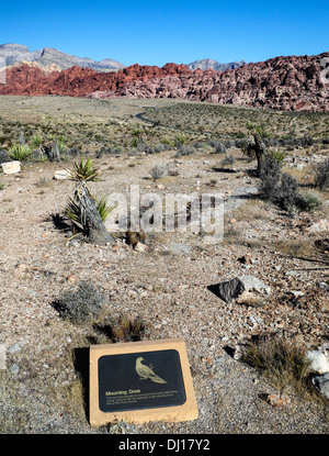 Interpretierende Zeichen im Pfad durch das Besucherzentrum am Red Rock Canyon National Conservation Area; landschaftlich reizvolle Fahrt Winde in Ferne Stockfoto