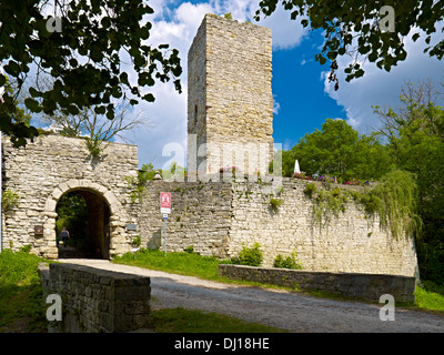 Eckartsberga Burg, Landkreis Burgenlandkreis, Sachsen-Anhalt Stockfoto