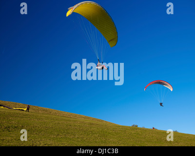 Gleitschirm auf der Wasserkuppe, Rhön, Hessen, Deutschland Stockfoto