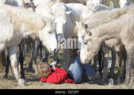 Christiane Slawik fotografieren deutschen Profifotografen Camargue-Pferde Stockfoto