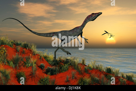 Eine jurassic europäischen Compsognathus. Stockfoto