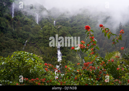 Cascada de Voile De La Mariee. Weiter auf der gleichen Strecke von Le Point du Jour, nur nördlich der Abzweigung nach Grand Îlet. Stockfoto