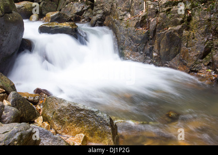 Wasserfall in der Regenzeit Stockfoto