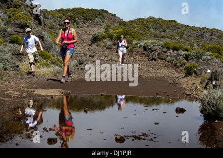 Trekking durch den Vulkan Piton De La Fournaise. Der Piton De La Fournaise ist der aktive Vulkan auf der Insel Réunion. Stockfoto
