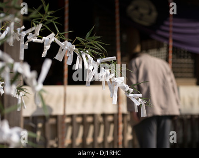 Omikuji Vermögen Papiere auf Baum und Gebete am Eröffnungsabend Schrein Eröffnungsabend City, Präfektur Saga, Japan Stockfoto