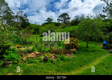 Landschaft in Hobbingen im Auenland, Standort des Herrn der Ringe und der Hobbit-Film-Trilogie, in der Nähe von Matamata, Neuseeland Stockfoto