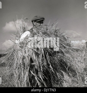 England, 1950. Historisches Bild zeigt einen erwachsenen Mann Landwirt in einem Gebiet mit großen Bündel Heu. Stockfoto