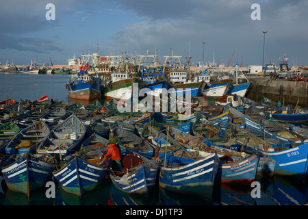 Marokko, Agadir, die Fischer am Hafen zurück vom Fischfang Stockfoto