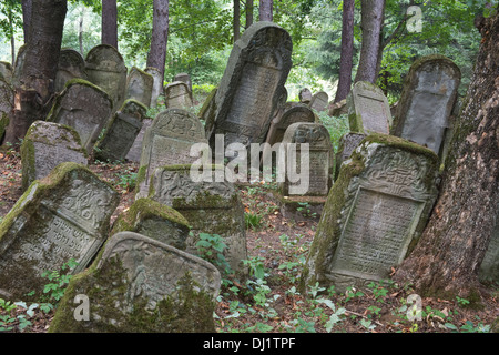 Grabsteine aus dem sechzehnten Jahrhundert eine Polens älteste, Kirkut, jüdische Friedhöfe Lesko Bieszczady-Polen Stockfoto