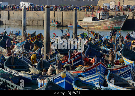 Marokko, Agadir, die Fischer am Hafen zurück vom Fischfang Stockfoto