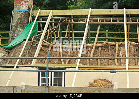 Eine neue Strohdach wird auf einer Hütte in West Lulworth, Dorset gelegt. Stockfoto
