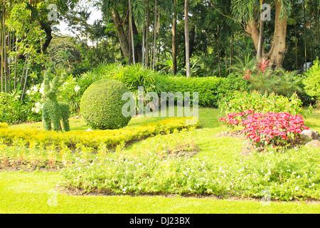 Schöner Garten Stockfoto