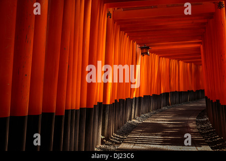 Gehweg mit Torii führt zum Inneren Heiligtum, Fushimi Inari-Taisha Shinto Schrein, Fushimi-Ku, Kyoto, Kyoto Prefecture, Japan Stockfoto