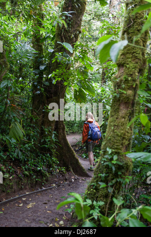 Eine Frau, ein Spaziergang durch die Monteverde Nebelwald Reservat in Costa Rica. Stockfoto