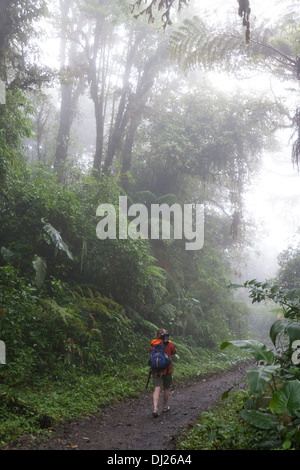 Eine Frau, ein Spaziergang durch die Monteverde Nebelwald Reservat in Costa Rica. Stockfoto