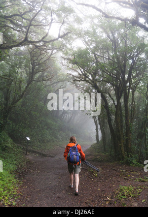 Eine Frau, ein Spaziergang durch die Monteverde Nebelwald Reservat in Costa Rica. Stockfoto