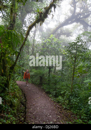 Eine Frau, ein Spaziergang durch die Monteverde Nebelwald Reservat in Costa Rica. Stockfoto