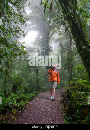 Eine Frau, ein Spaziergang durch die Monteverde Nebelwald Reservat in Costa Rica. Stockfoto