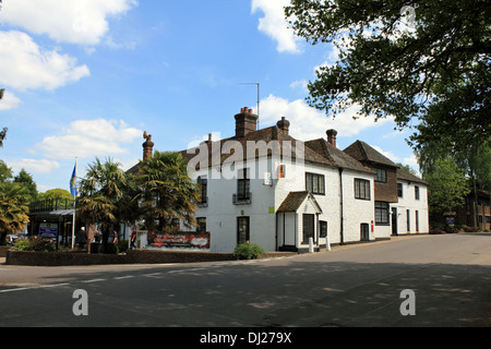 Frensham Pond Hotel Pub, Farnham, Surrey, England, UK. Stockfoto