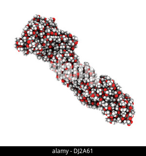 Polymilchsäure (PLA, Polylactid) Säure Biokunststoff, chemische Struktur. Kompostierbaren Polymer verwendet in medizinischen Implantaten, Verpackung... Stockfoto