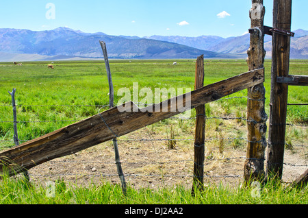 hölzernen Zaun, Bergbauernhof, Zaun, Holz, Holz-Stick, diagonal