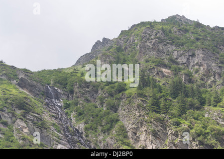 Frisches Quellwasser fließt in den Bergen, Fagaras-Gebirge, Rumänien Stockfoto