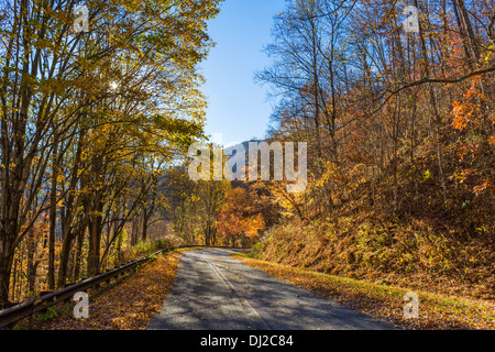 Farben des Herbstes im Joyce Kilmer National Forest südlich des Great Smoky Mountains National Park, North Carolina, USA Stockfoto