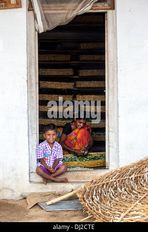 Indische Frau Landwirtschaft Seidenraupen in einem indischen Dorf-Haus. Andhra Pradesh, Indien Stockfoto