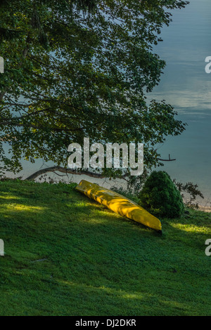 Eine unbesetzte gelben Kajak am Ufer unter den Ästen eines großen Baumes mit dem Meereswasser im Hintergrund in Sullivan, Maine Stockfoto