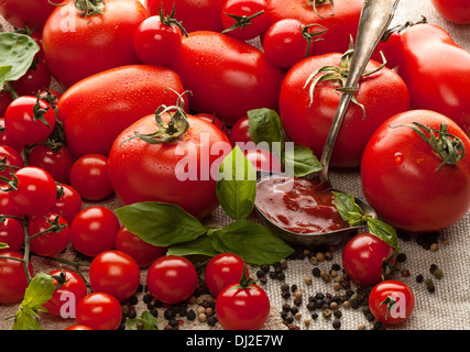 Gruppe von verschiedenen Tomaten Basilikum-Blätter und peppe Stockfoto