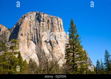 Yosemite-Nationalpark El Capitan Kalifornien USA Stockfoto