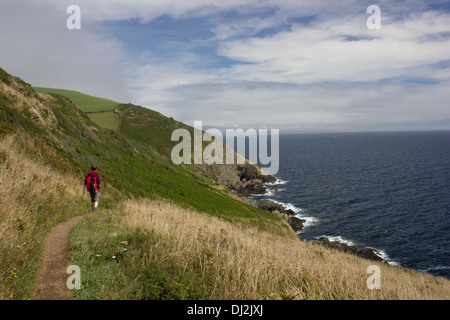 Polperro ist ein malerisches Dorf und Fischerhafen liegt an der Südost-Küste Cornwalls in South West England, UK. Stockfoto