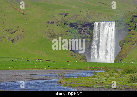 der Wasserfall Skogafoss Stockfoto