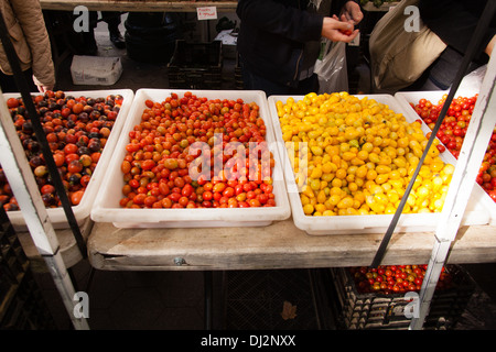 Tomaten für Verkauf, Lebensmittelmarkt Greenmarket, Upper West Side, Manhattan, New York City, Vereinigte Staaten von Amerika. Stockfoto