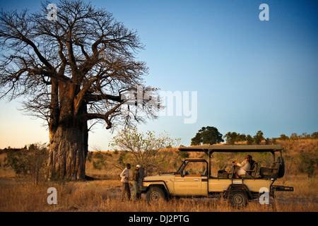 Eines der 4 x 4-Fahrzeuge, die Orient-Express einen Stopp auf dem Weg bei Sonnenuntergang macht zu einem Tee und beobachten den Sonnenuntergang neben einem Baobab. Stockfoto