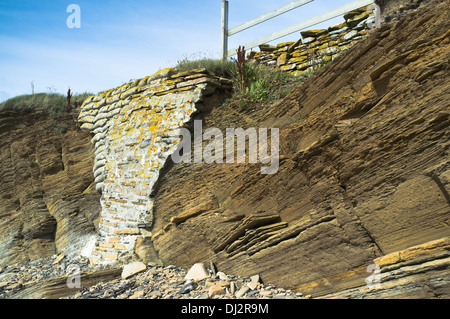 Dh KÜSTENEROSION UK erodierten Klippe Reparatur Küstenerosion Verteidigung Stockfoto