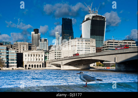 Eine Möwe sitzt am Ufer der Themse, mit Blick auf die neue London Skyline 2013 mit Wolkenkratzern der Stadt Stockfoto