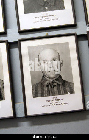 Auschwitz-Birkenau Auschwitz Birkenau Porträt Häftling Gefangenen polnischen jüdischen verstorbenen tot Foto redaktionelle Tod camp Tod Stockfoto