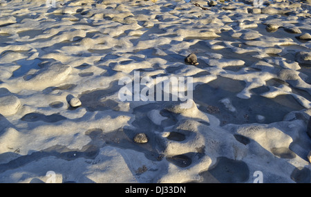 Nahaufnahme von Felsformationen am Strand von Monmouth fossilen Lyme Regis, Dorset bei Ebbe Stockfoto